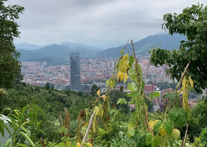 호텔 아르테트세