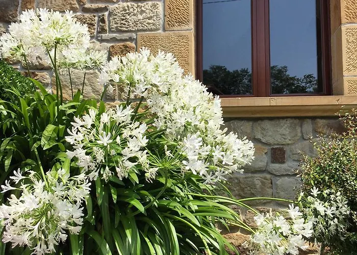 Artetxe Szálloda 2*