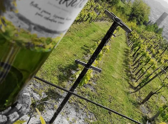 Artetxe Готель