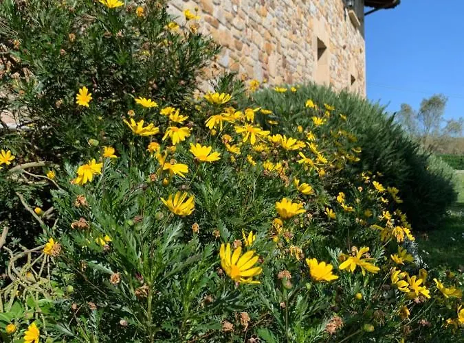 Artetxe Більбао