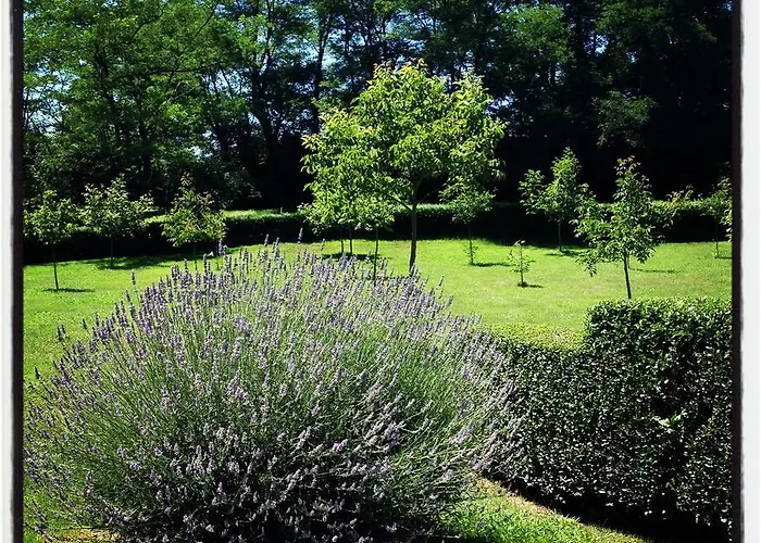 Artetxe Готель 2*